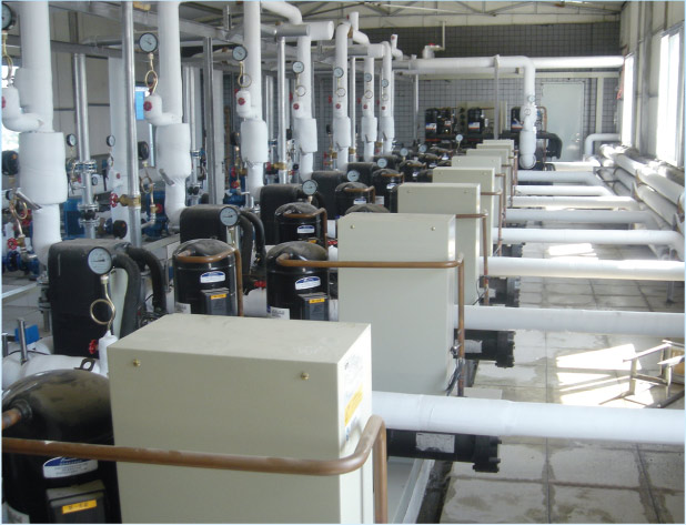 ������{�C������